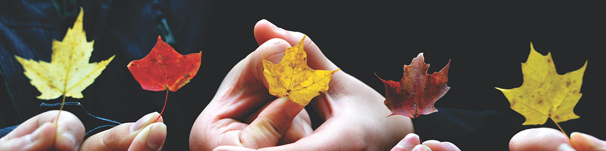 The Neuroscience of Trust Banner