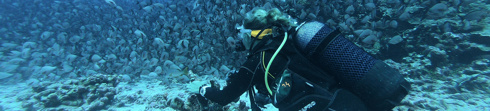 Top Web Banner Scuba