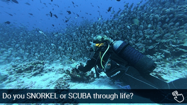 Do you SNORKEL or SCUBA through life?